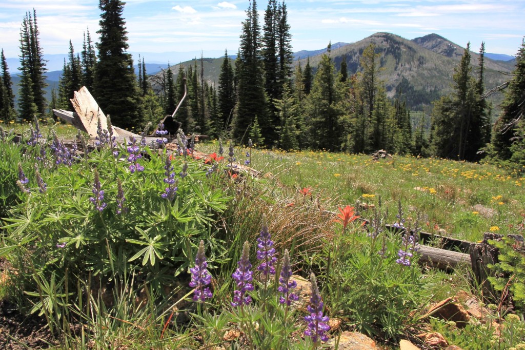 07-05-14 Columbia Lookout & camp (50)