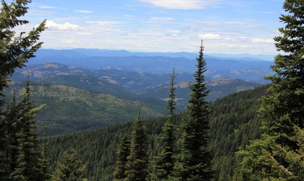 07-05-14 Columbia Lookout & camp (59)