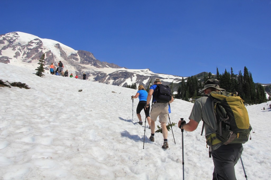 07-17-14 Mt. Rainier Trip (20)