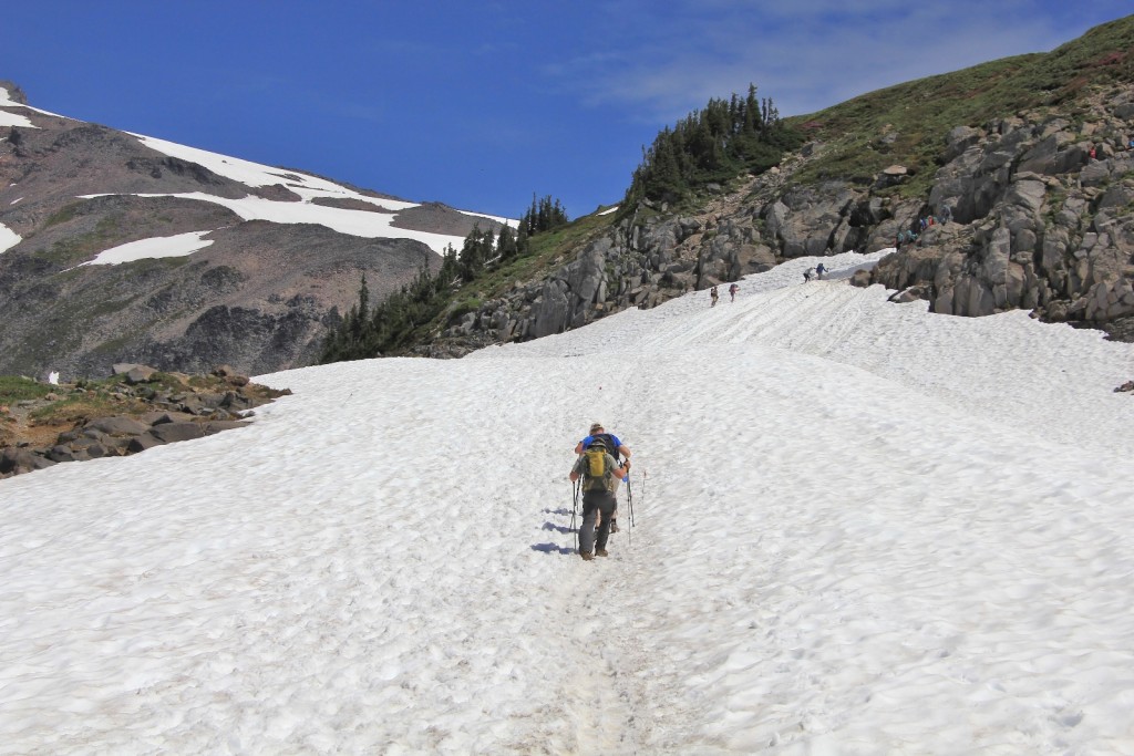 07-17-14 Mt. Rainier Trip (56)