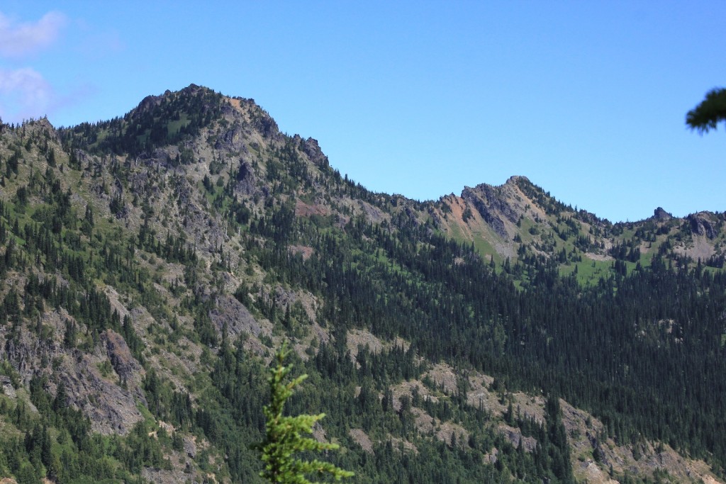 07-19-14 Mt. Rainier Trip (13)