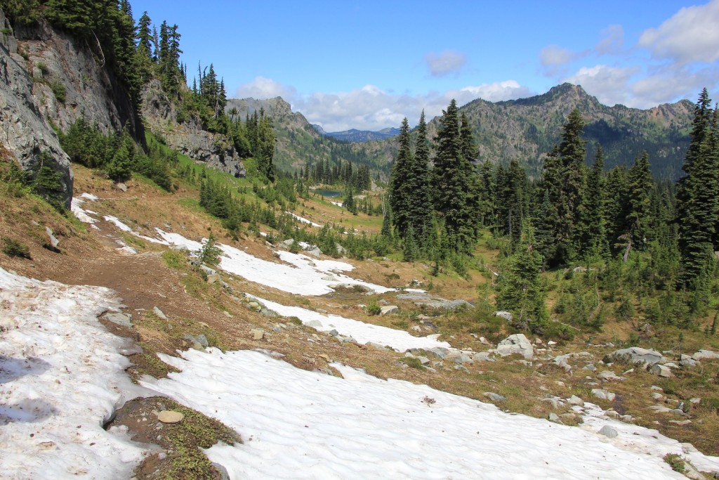 07-19-14 Mt. Rainier Trip (24)