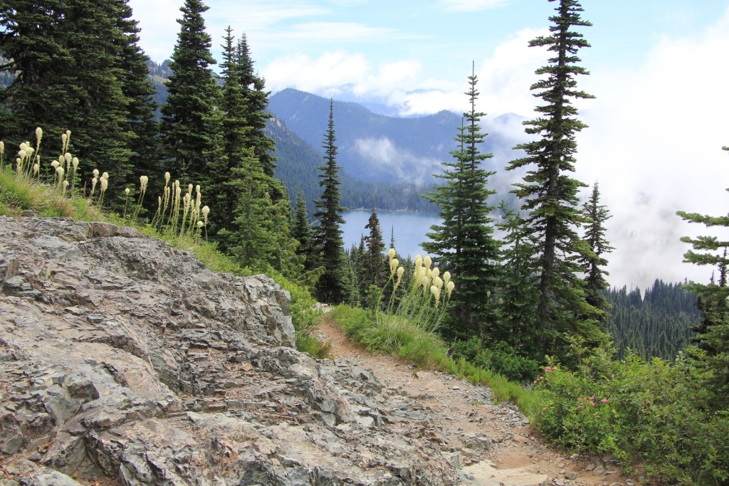 Dewey Lakes, the PCT, and bear grass