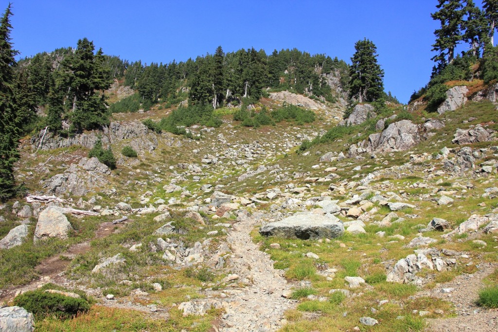 09-21-14 Mt. Baker Galena Chain Lakes (117)