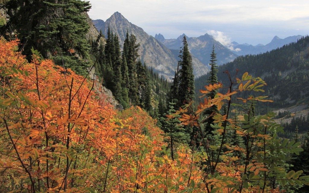 09-22-14 Maple-Heather Pass trail (35)