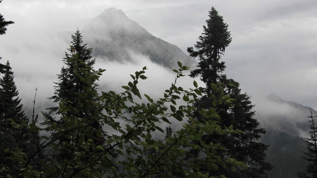 09-22-14 Maple-Heather Pass trail (4)