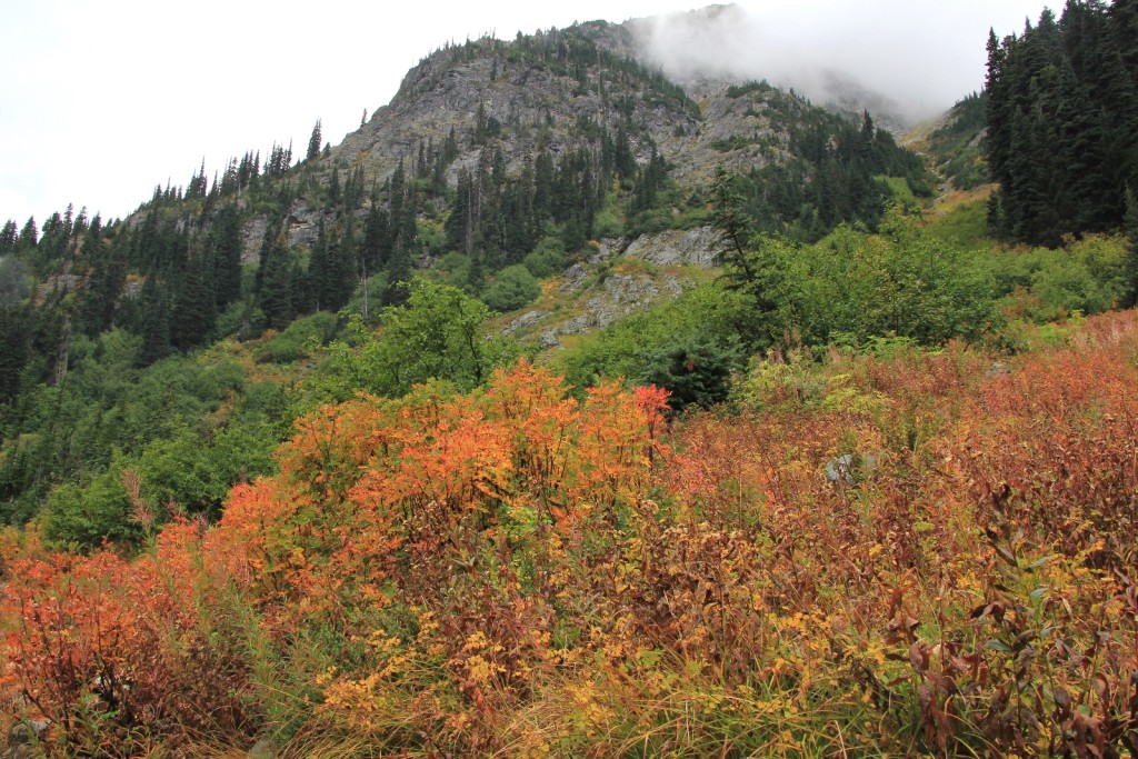 09-22-14 Maple-Heather Pass trail (7)