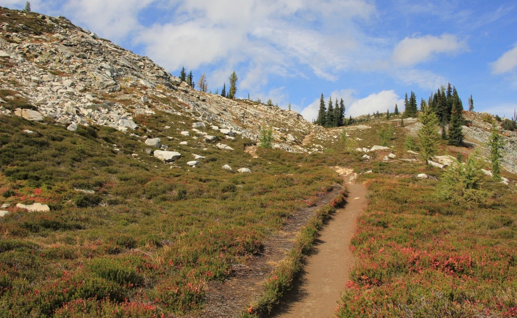 09-22-14 Maple-Heather Pass trail (88)