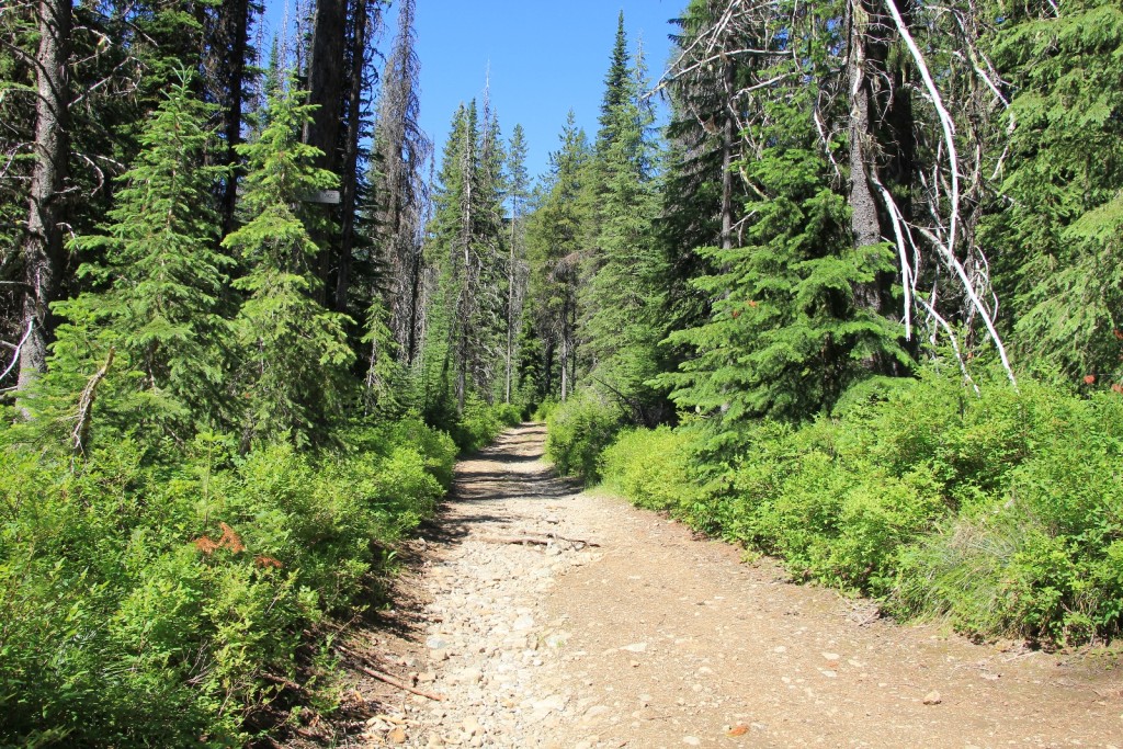 07-04-13 St. Regis Lake Hike (3)