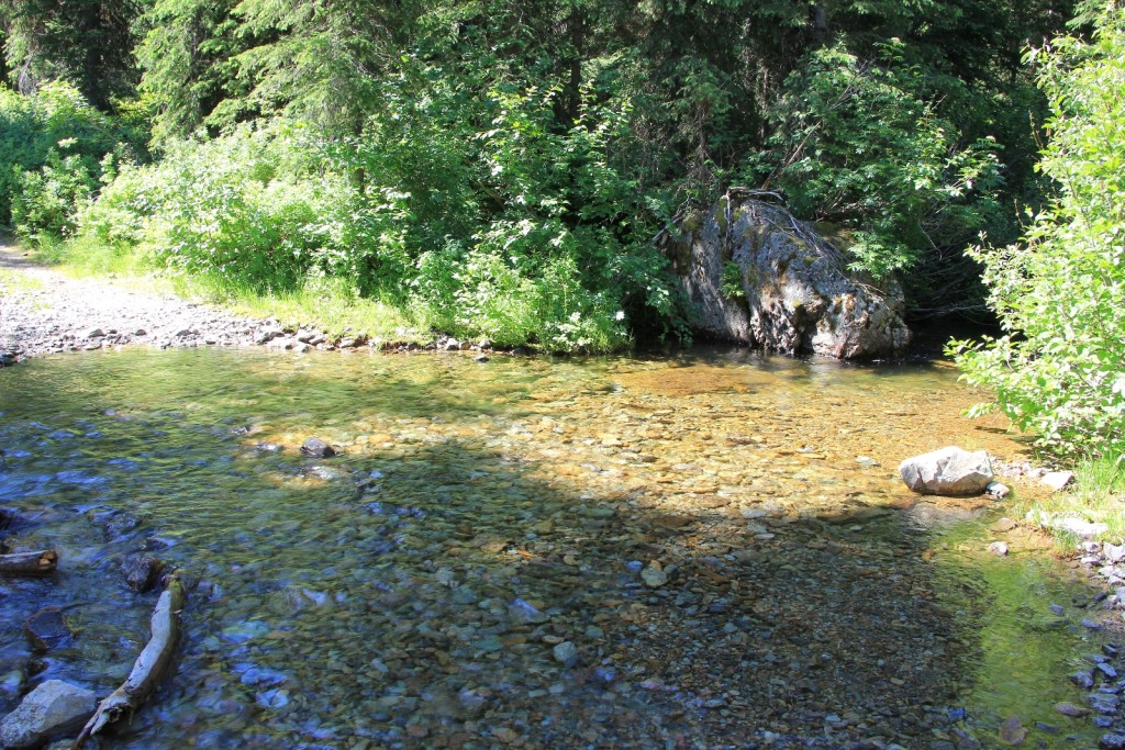 07-04-13 St. Regis Lake Hike (5)