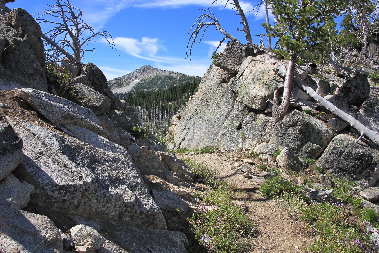 07-04-15 Elkhorn Backpack day 2 (59)