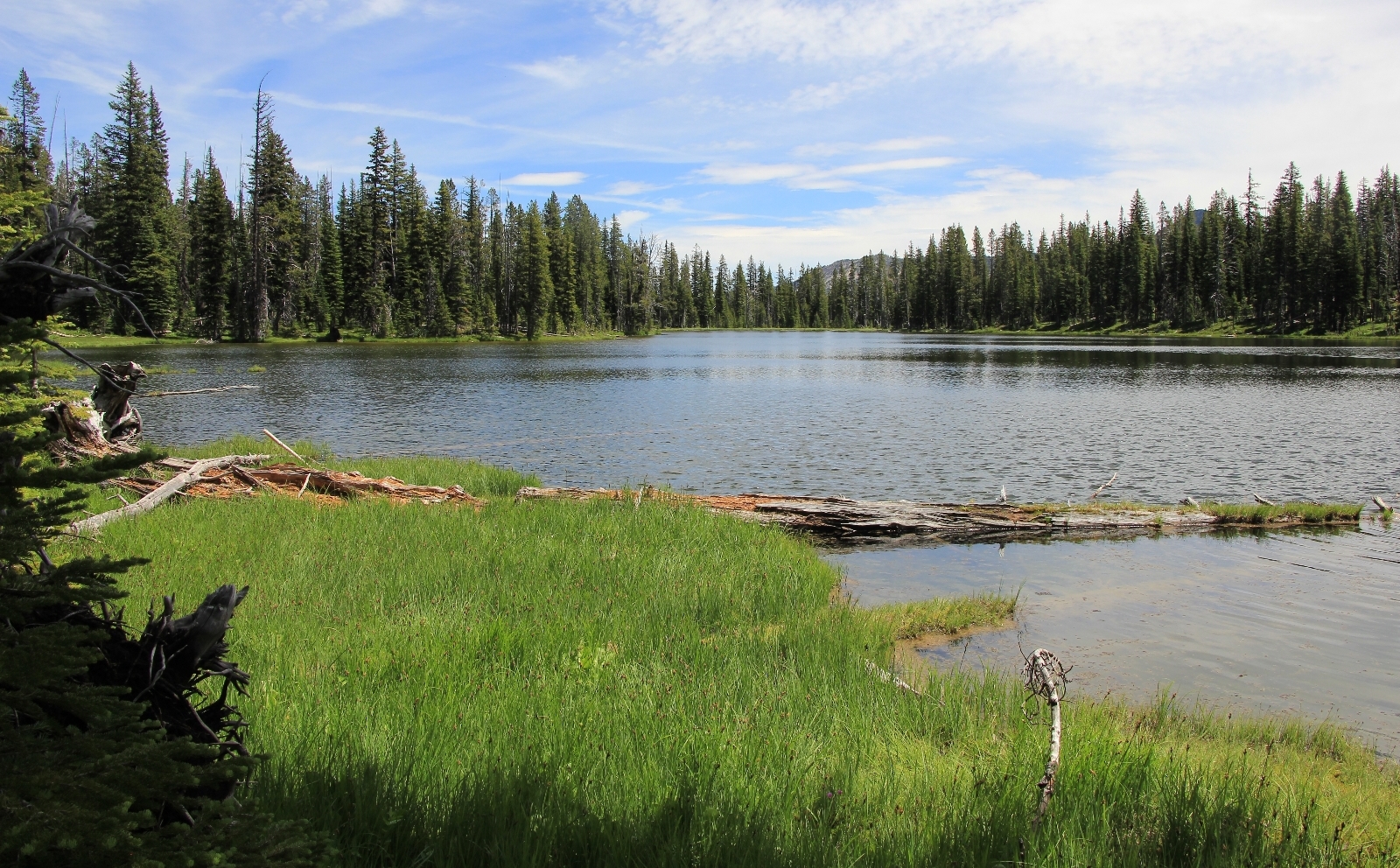 07-04-15 Elkhorn Backpack day 2 (76)