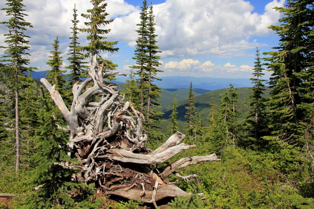 07-06-13 Roman Nose Lakes Hike (60)