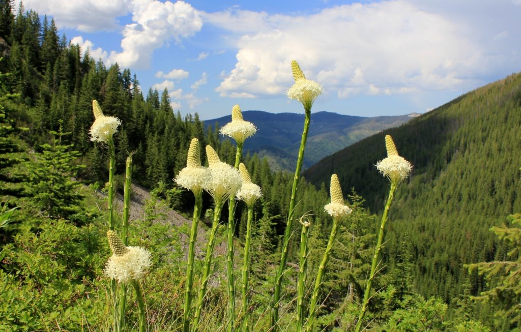 07-07-12 Stevens Lakes hike (43)