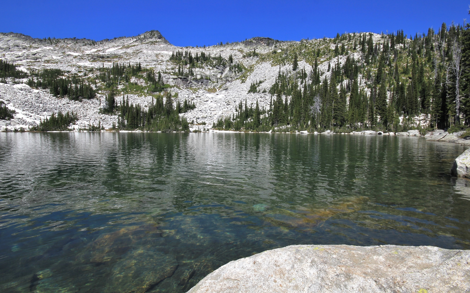 07-07-13 Beehike Lake Hike (31)