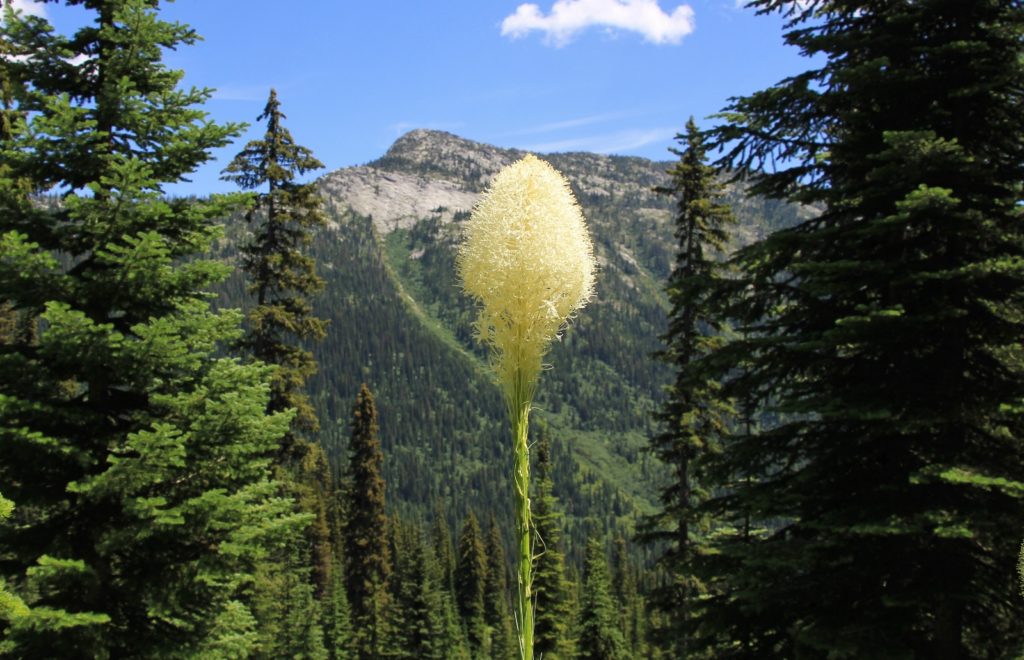 07-07-13 Beehike Lake Hike (68)