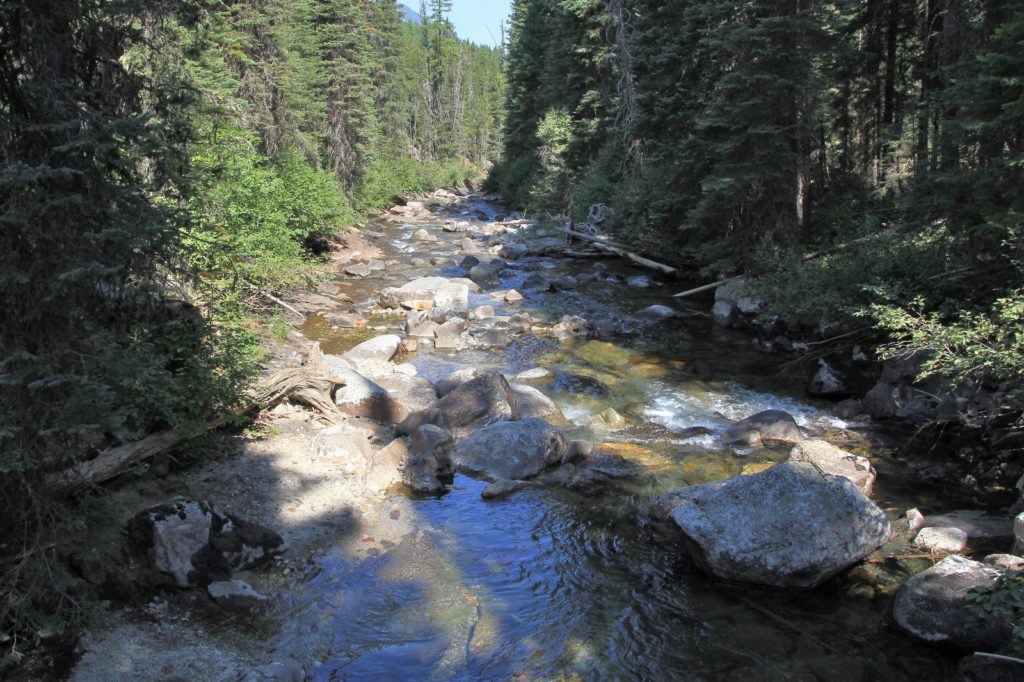 08-15-15 Chimney Lake BP day 1 (3)