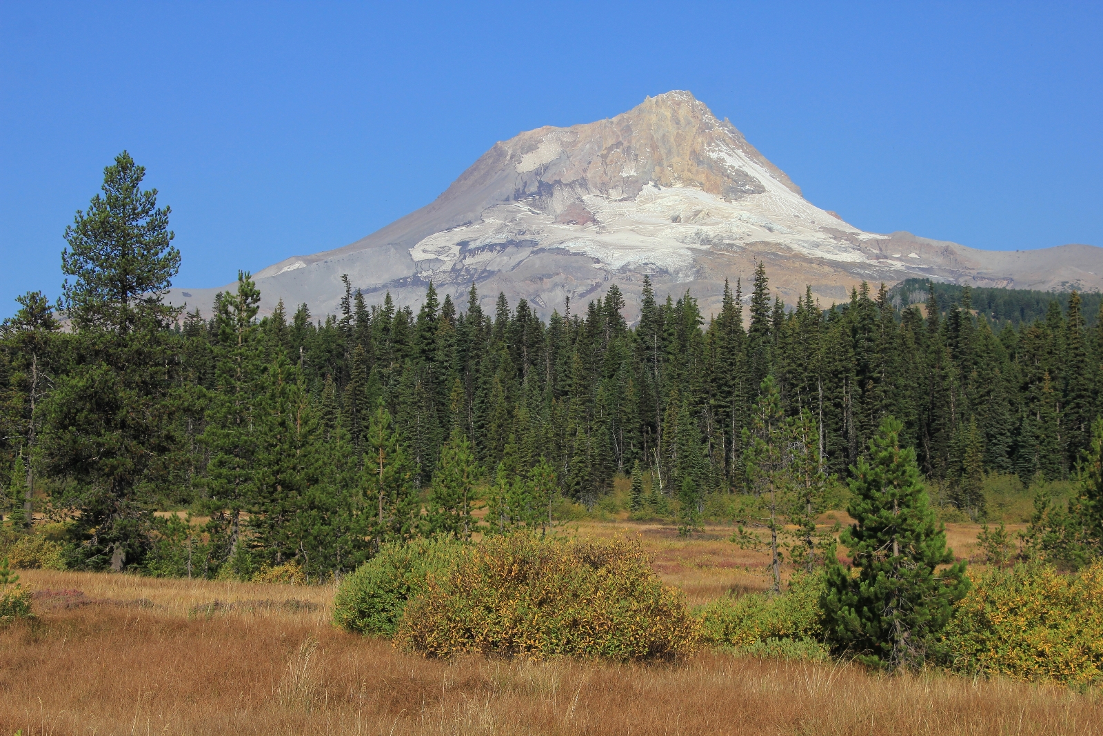 09-12-15 Mt. Hood Elk Meadows Gnarl Ridge (27)