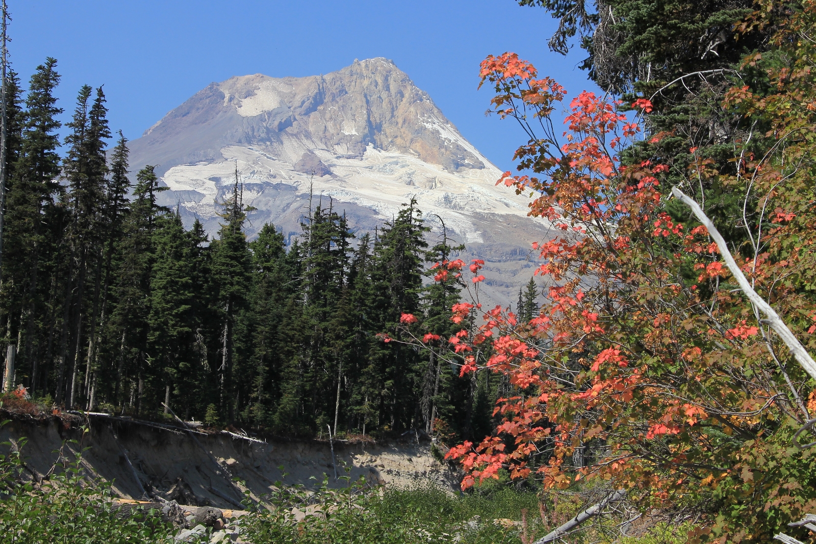 09-12-15 Mt. Hood Elk Meadows Gnarl Ridge (38)