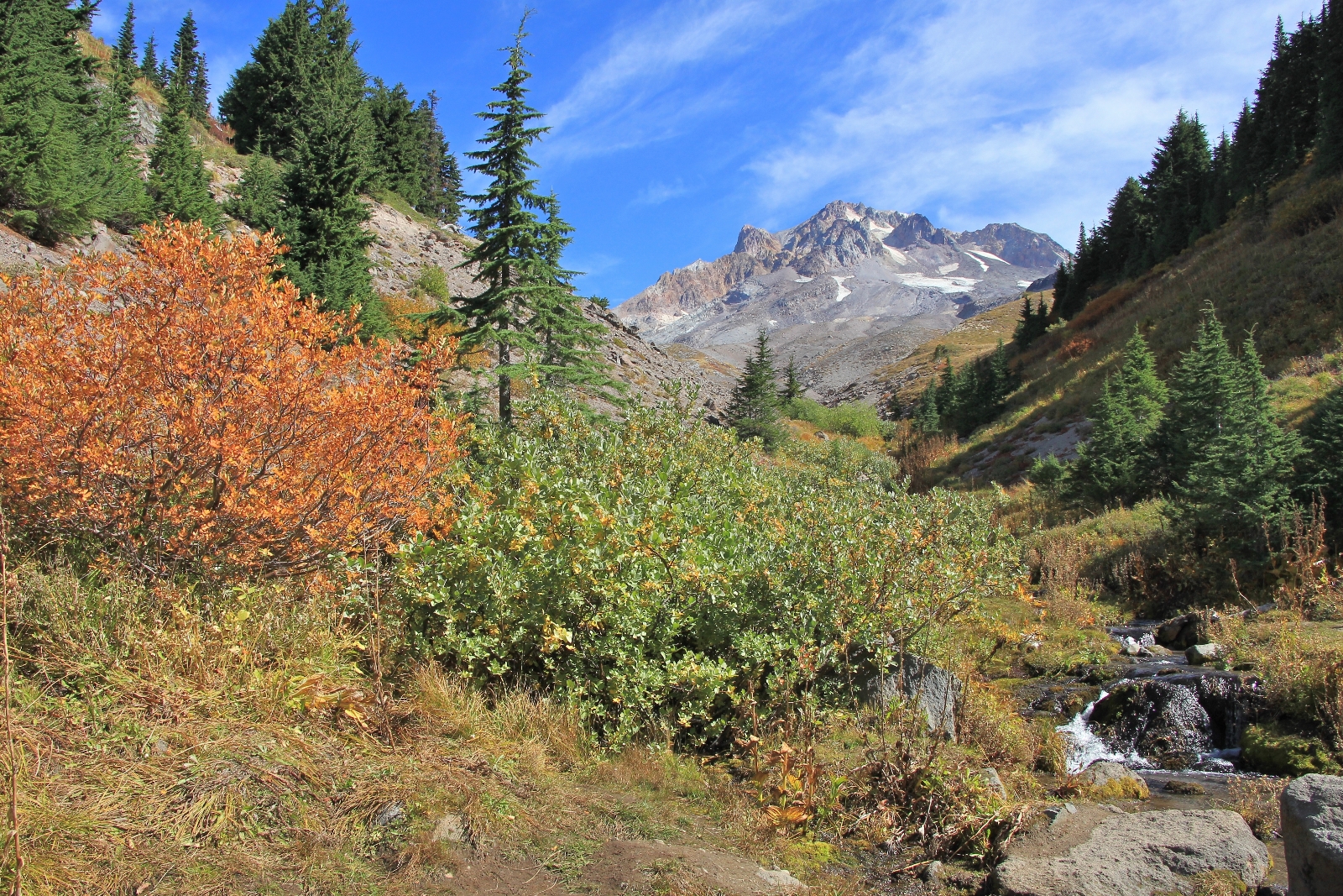 09-13-15 Mt. Hood Paradise Ridge hike (101)