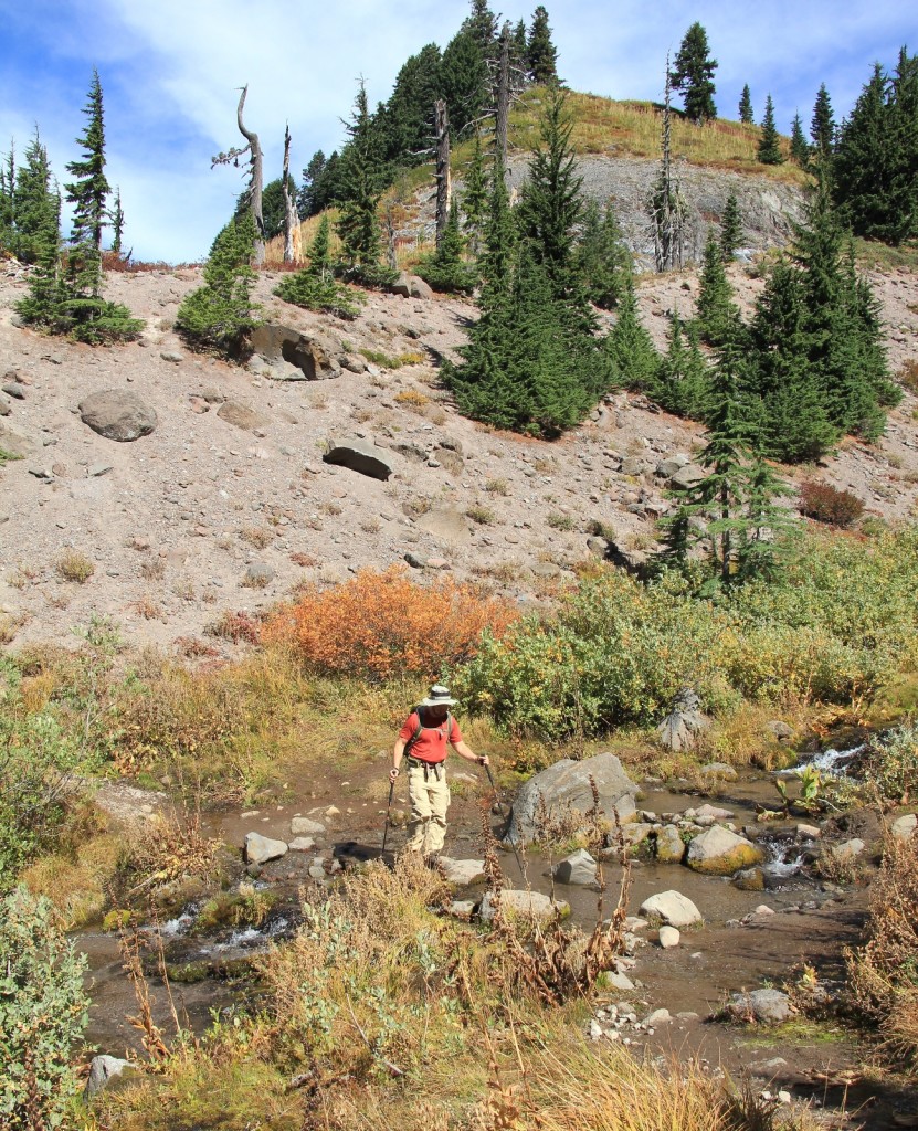 09-13-15 Mt. Hood Paradise Ridge hike (109)