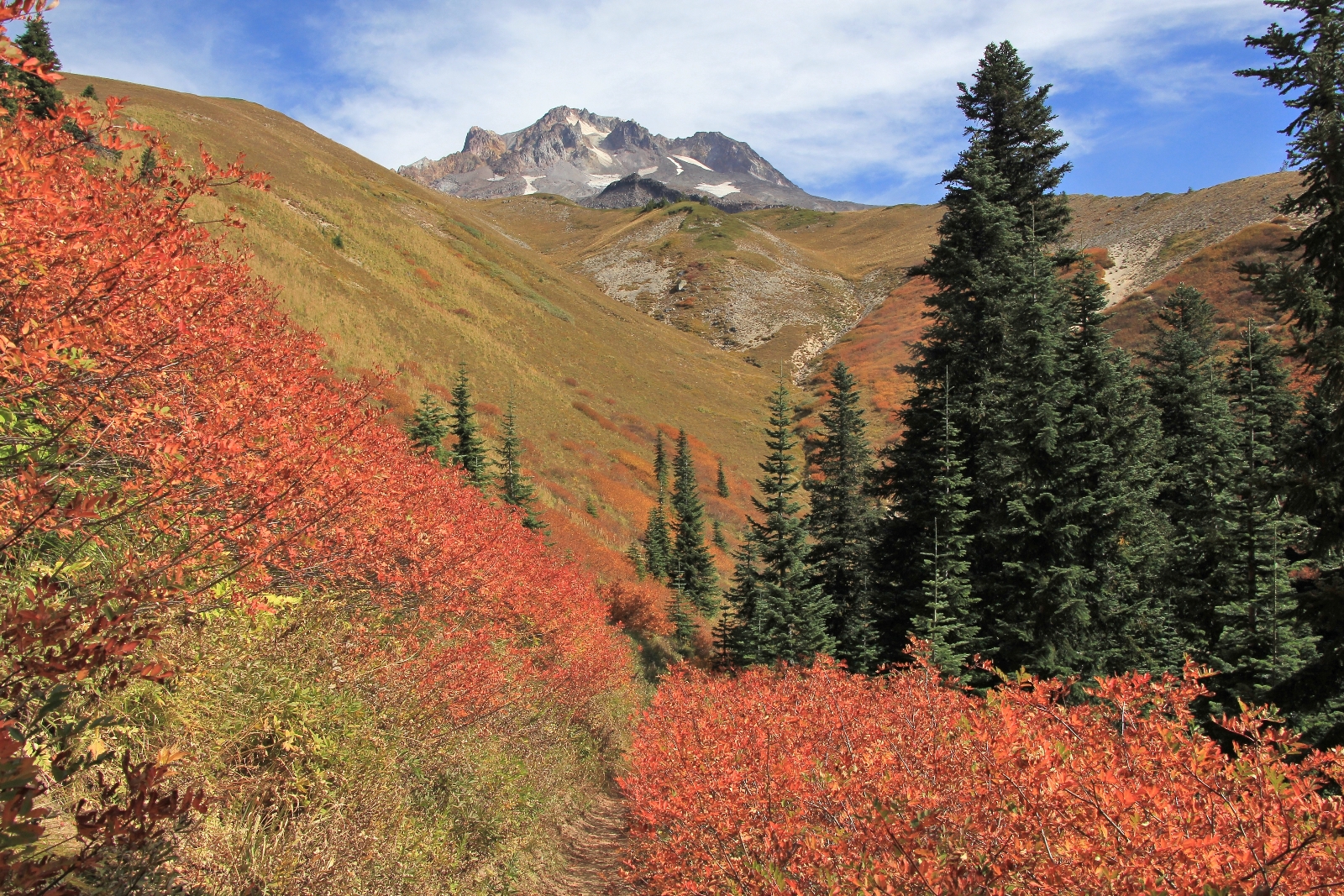 09-13-15 Mt. Hood Paradise Ridge hike (119)