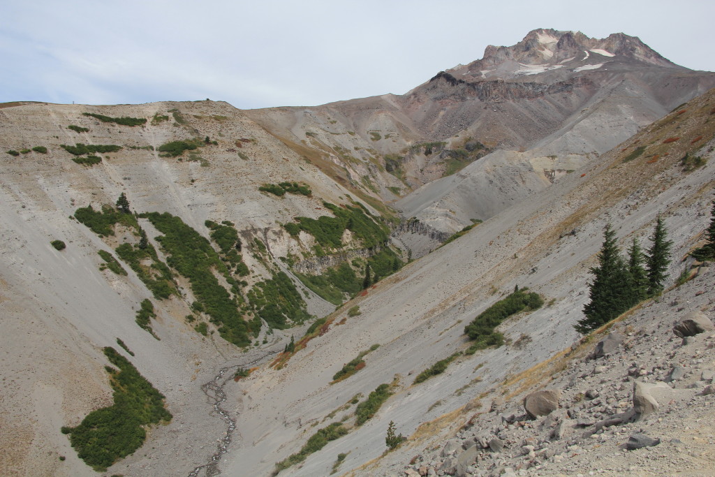 09-13-15 Mt. Hood Paradise Ridge hike (133)