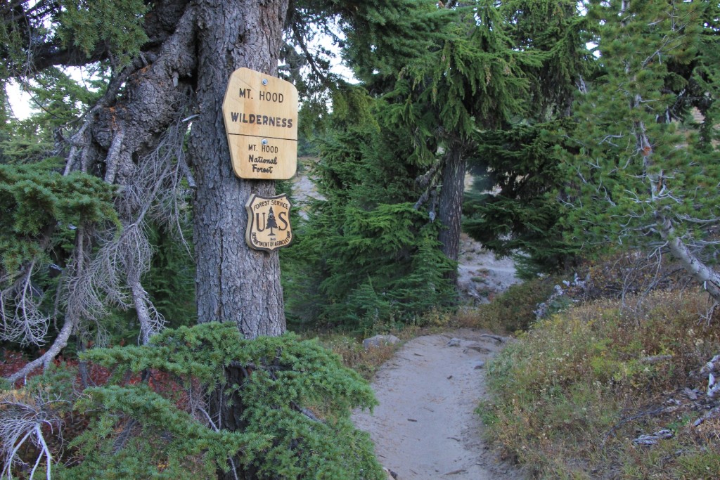 09-13-15 Mt. Hood Paradise Ridge hike (16)