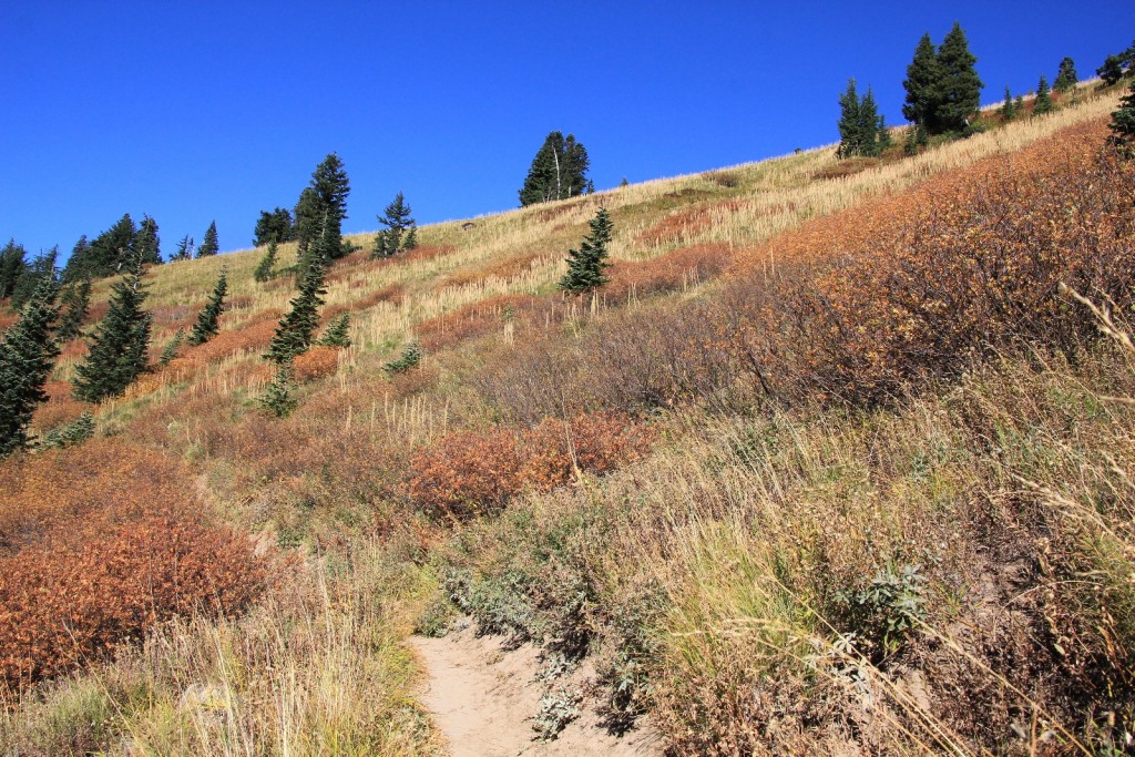 09-13-15 Mt. Hood Paradise Ridge hike (37)