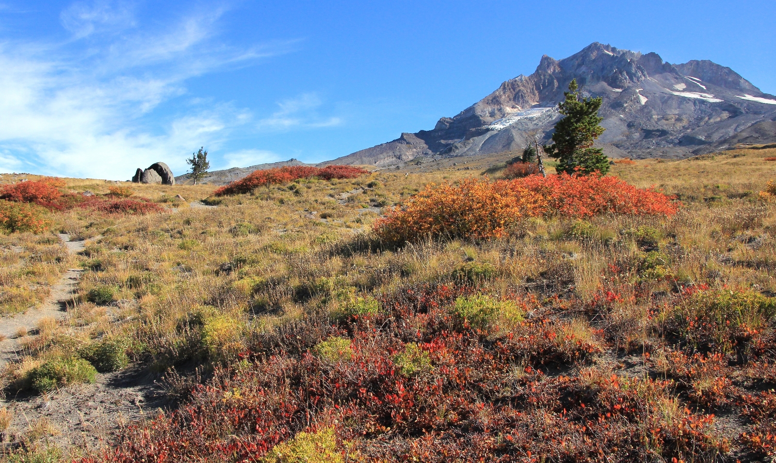 09-13-15 Mt. Hood Paradise Ridge hike (48)