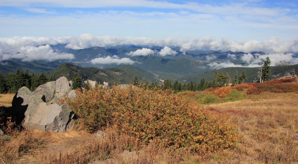 09-13-15 Mt. Hood Paradise Ridge hike (65)