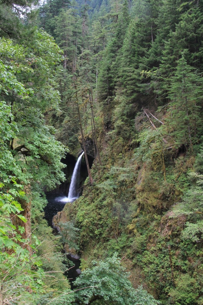 09-14-15 Eagle Creek hike (11)