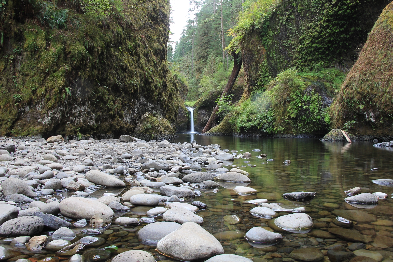 09-14-15 Eagle Creek hike (19)