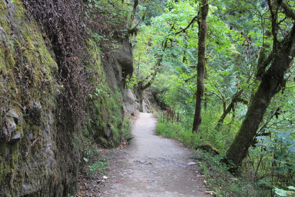 09-14-15 Eagle Creek hike (4)