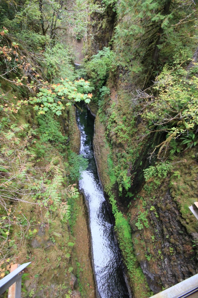 09-14-15 Eagle Creek hike (61)