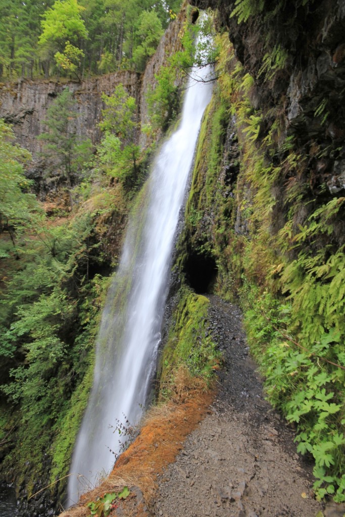 09-14-15 Eagle Creek hike (97)