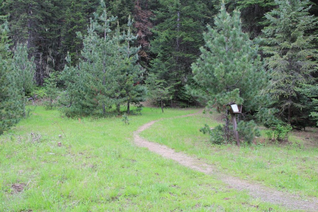 05-21-16 Feather Creek (44)