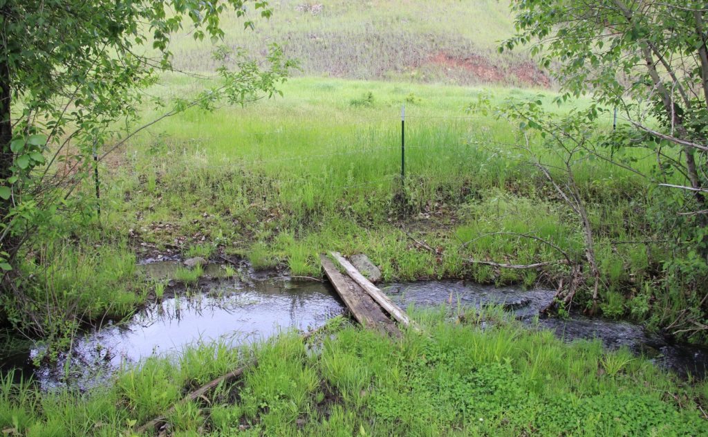 05-22-16 Sheep Gulch (5)