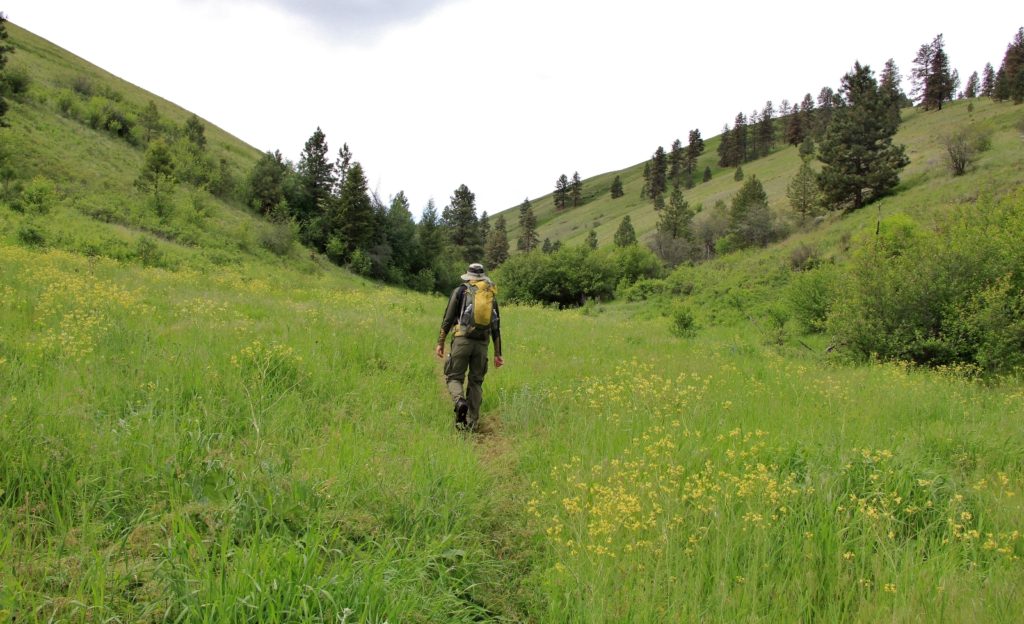 05-22-16 Sheep Gulch (6)