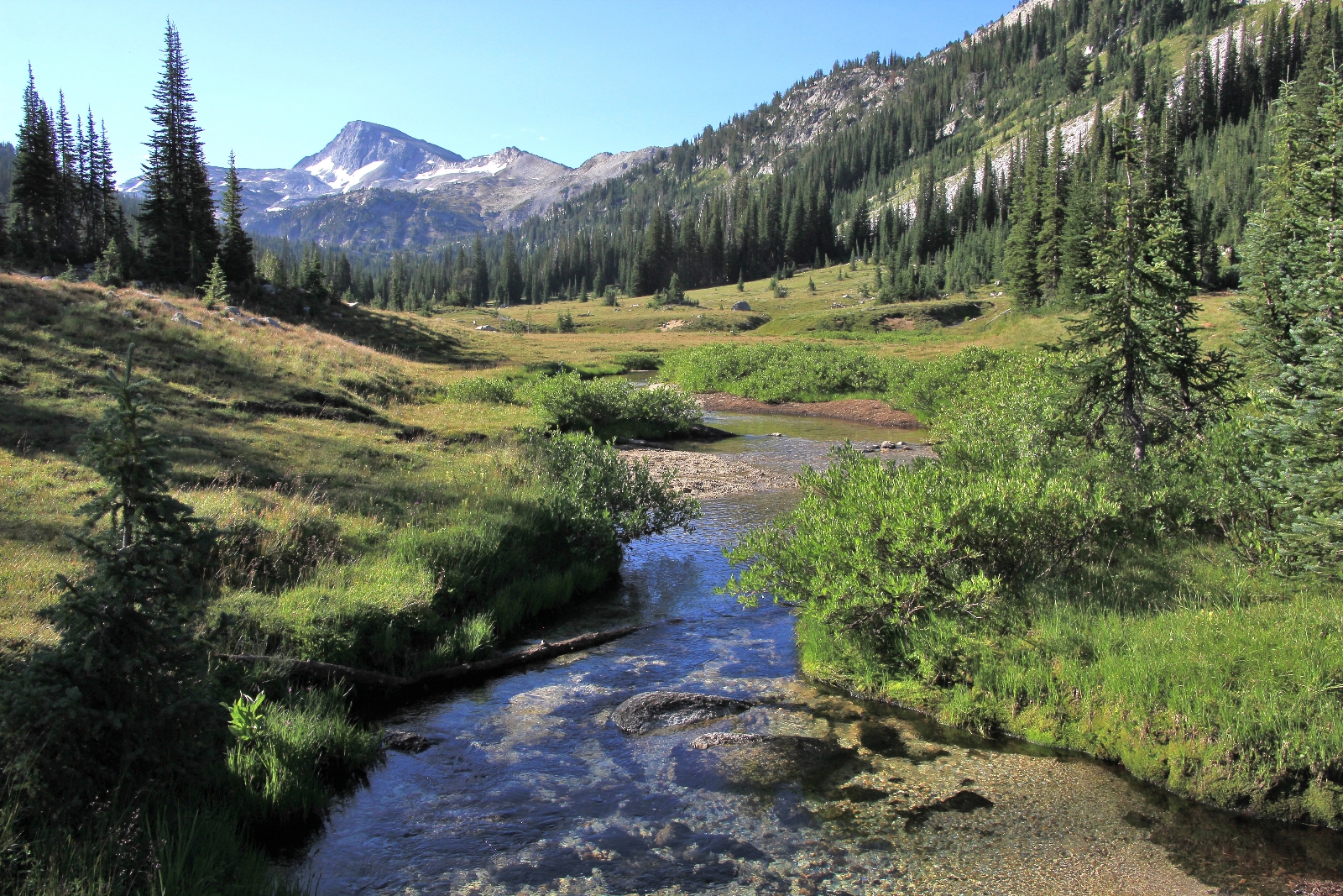 07-18-15 Eagle Cap Backpack Day 3 (31)