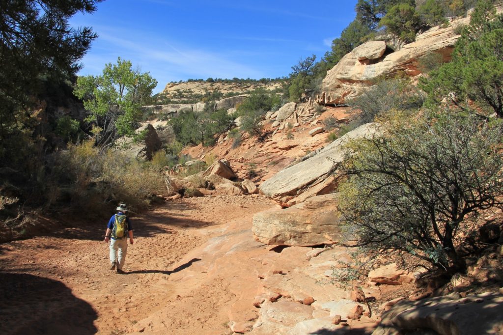 10-07-13 Grand Gulch (17)