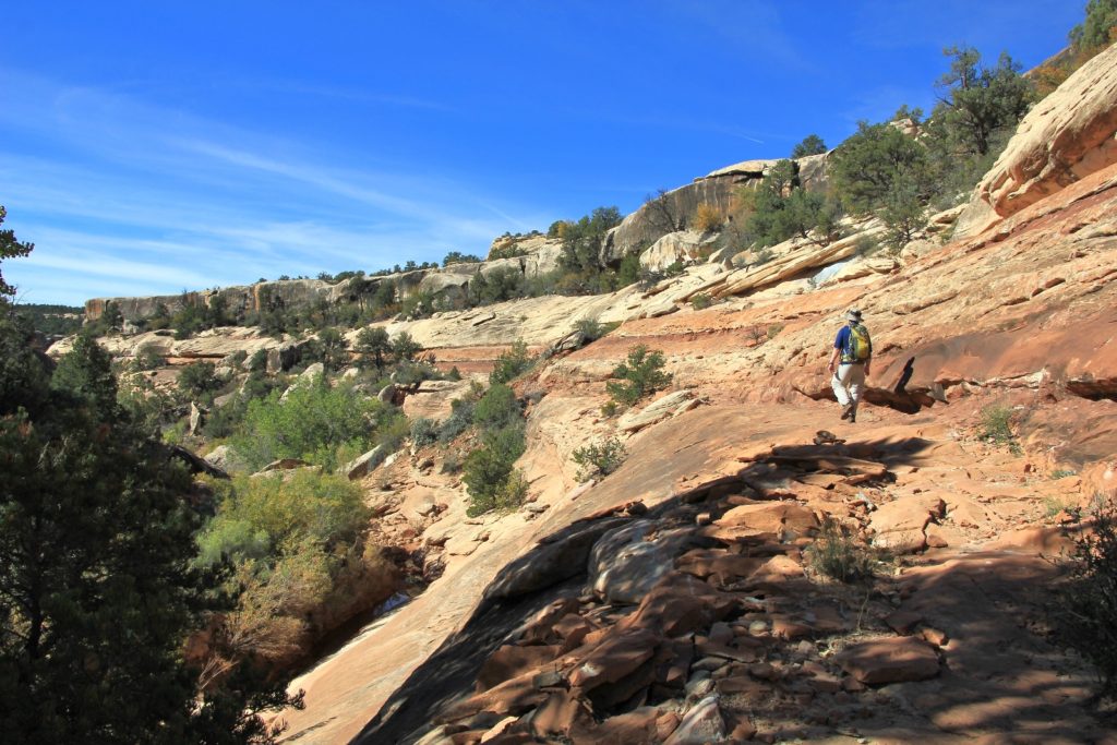 10-07-13 Grand Gulch (18)