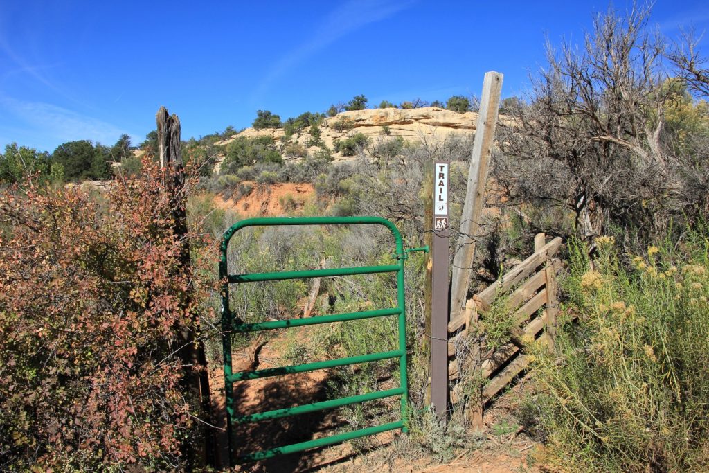 10-07-13 Grand Gulch (6)