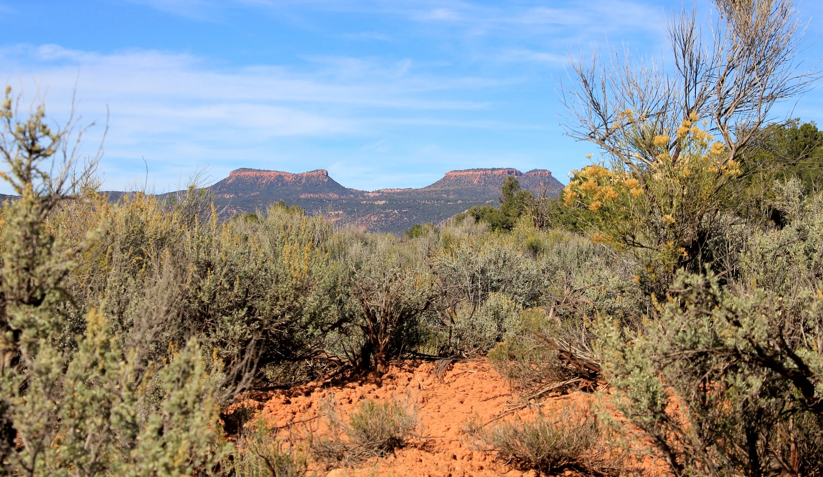 10-07-13 Grand Gulch (93)