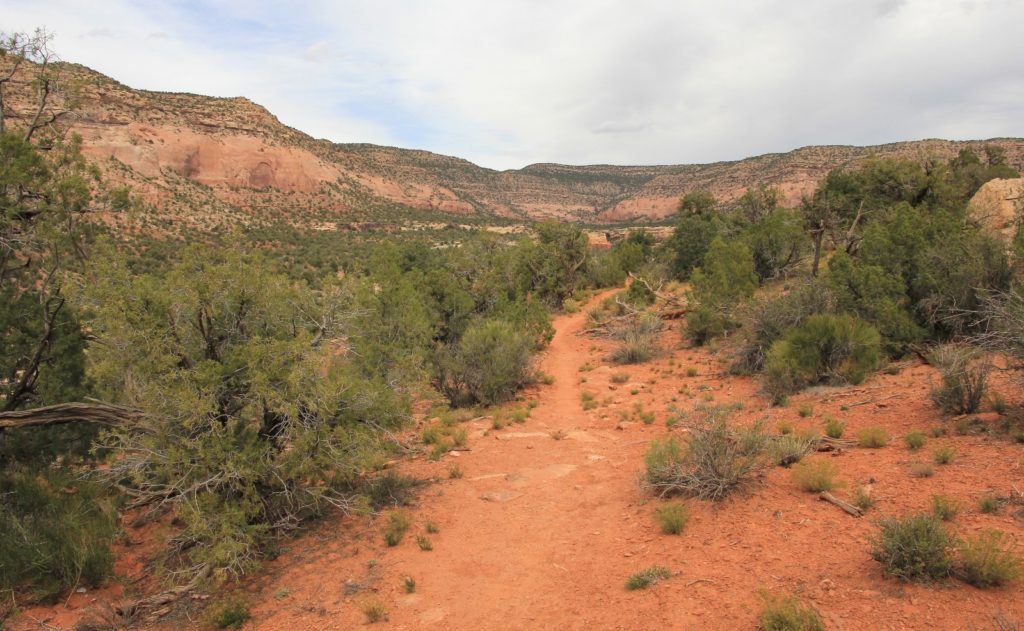 10-09-13 Sand Canyon, CO (105)