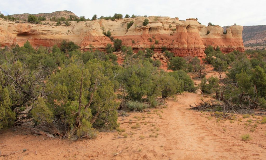 10-09-13 Sand Canyon, CO (11)