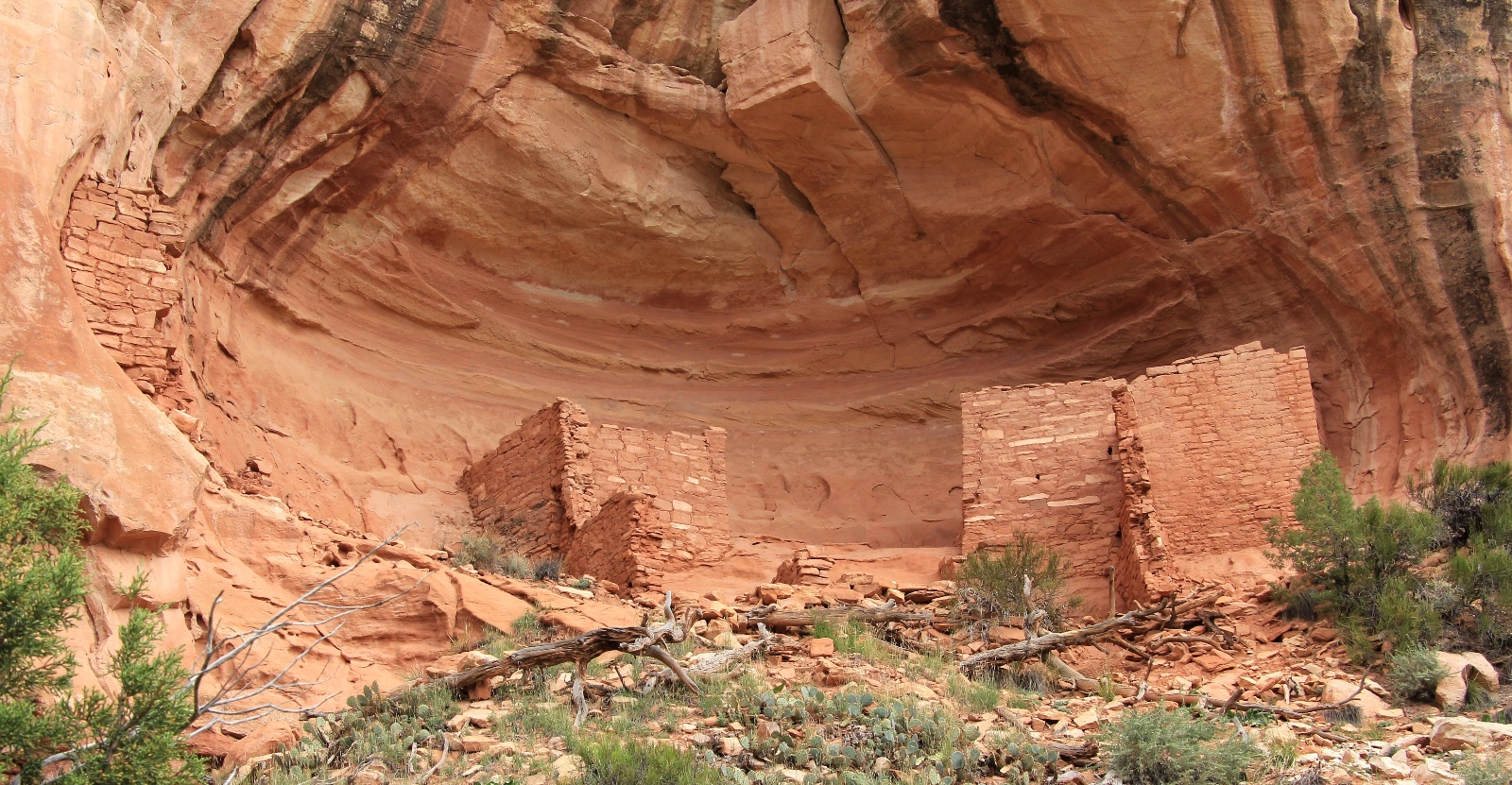 10-09-13 Sand Canyon, CO (81)