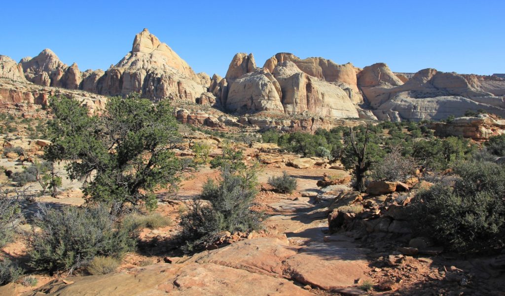 10-11-13 Capitol Reef (26)