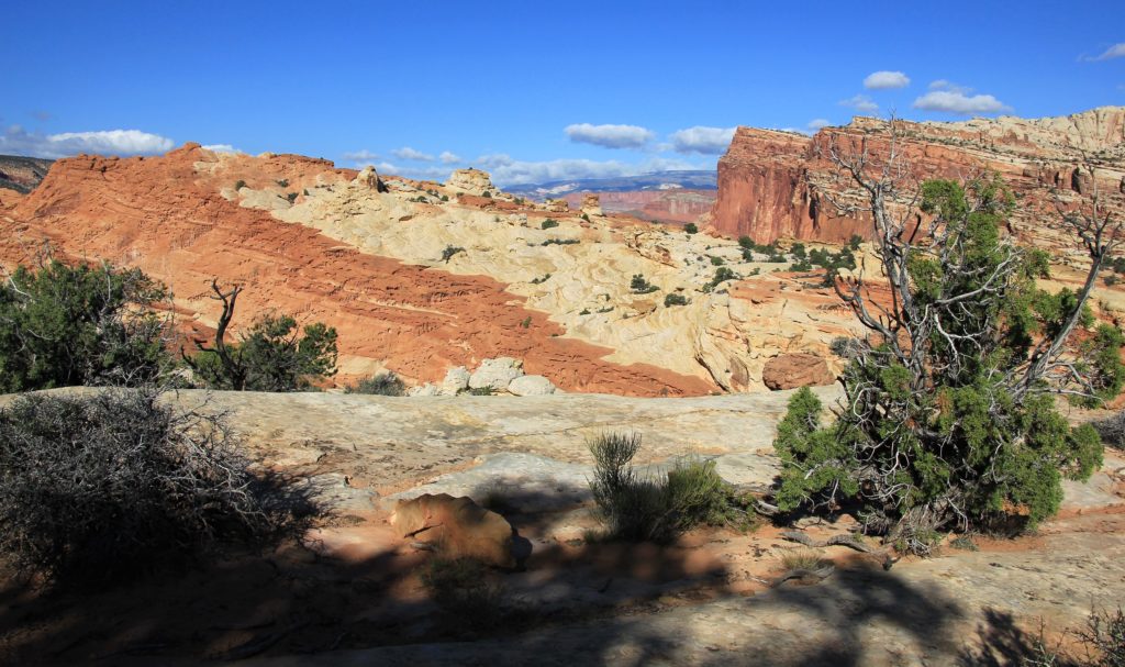 10-11-13 Capitol Reef (28)