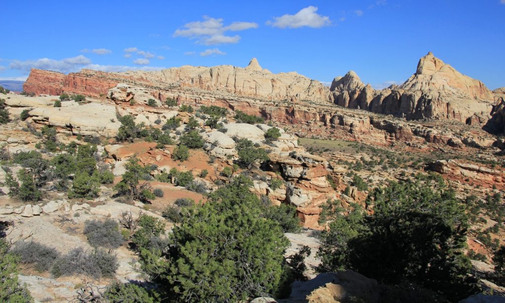 10-11-13 Capitol Reef (34)